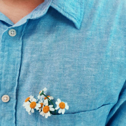 Shirt Canva (demo)